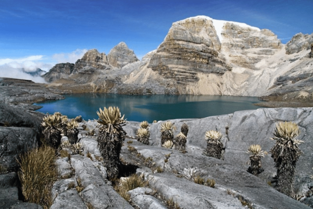 COUYGUASX ML El Cocuy